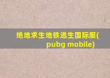 绝地求生地铁逃生国际服(pubg mobile)